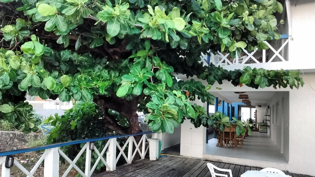 Dunas de Marape Jequiá da Praia Exterior foto